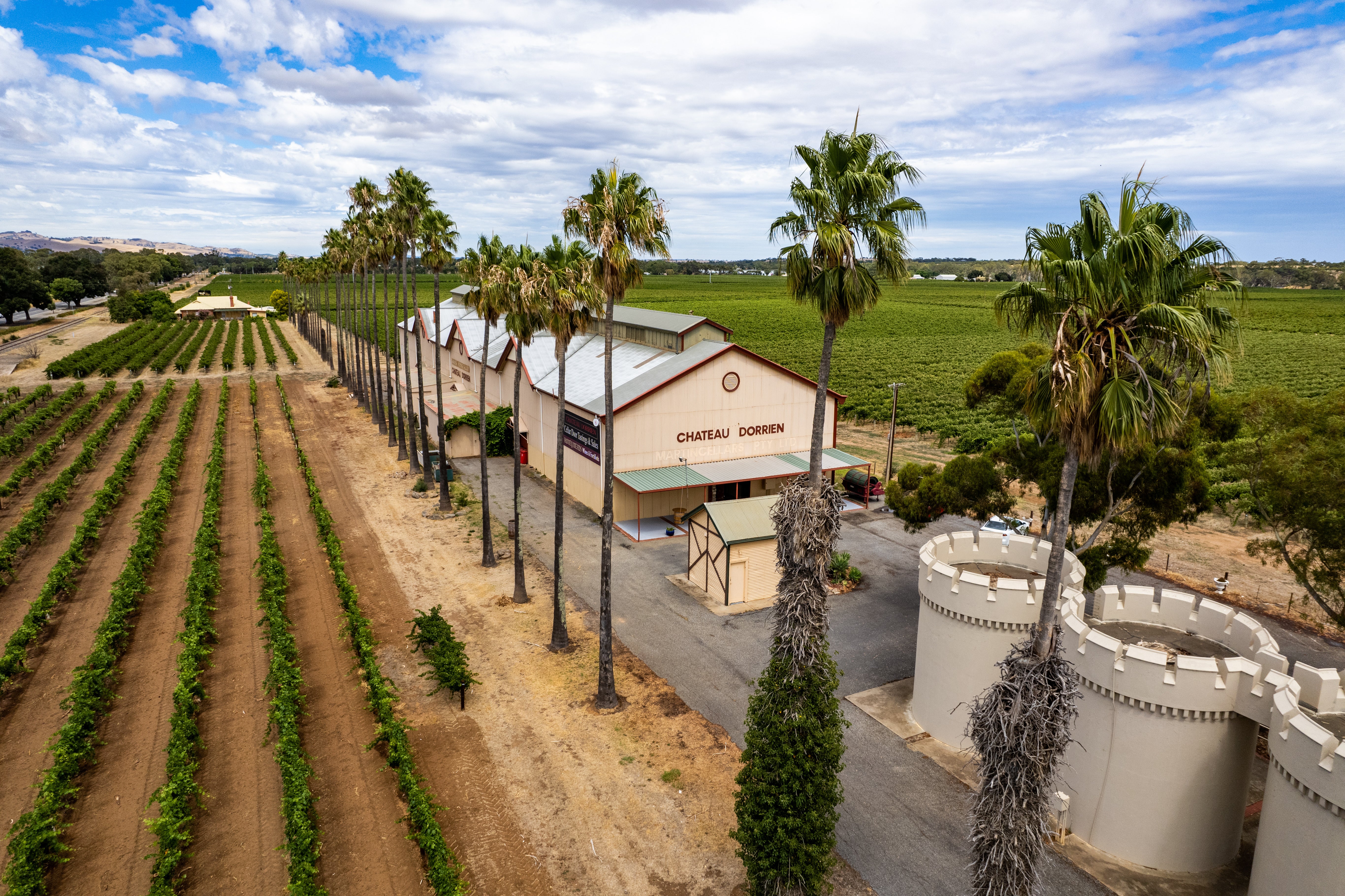 Chateau Dorrien Vineyard